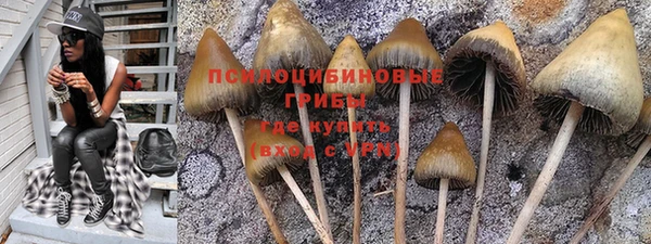 прущая мука Заволжск