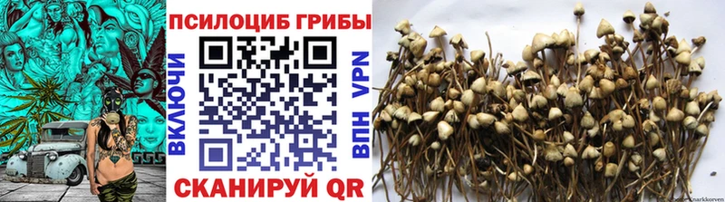 Галлюциногенные грибы ЛСД  Сенгилей 